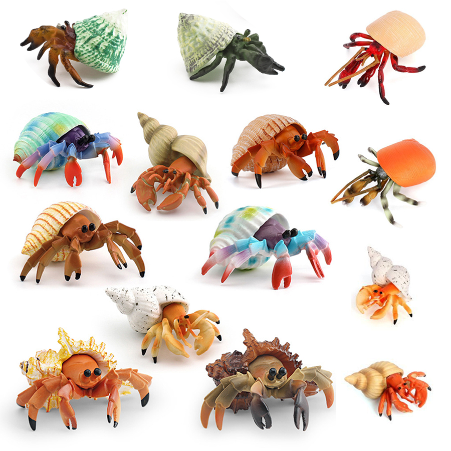 Kids Toys 3 Year Old - Realistic Hermit Crab Figurine Durable PVC